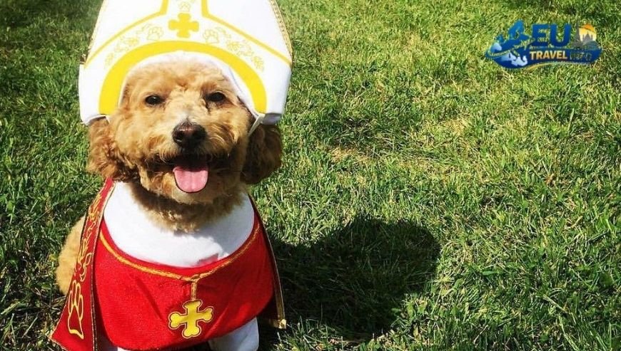 On top of that The Famous Vatican Dress Code dog