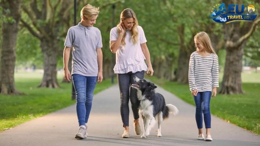 Outdoor Adventures Walkies and the Walk Fest dog