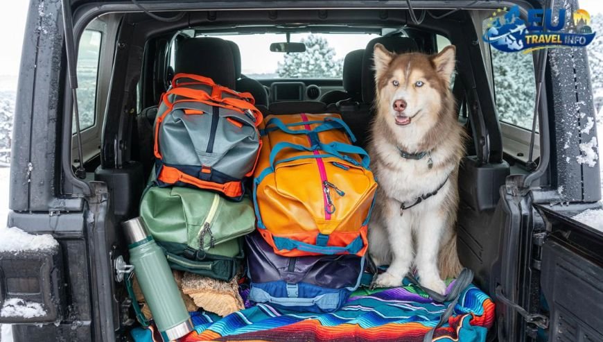 Packing List for Dogs