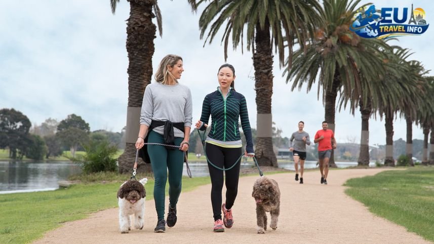 Parks and City Walks dog