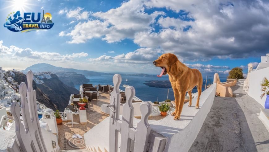 Pet Friendly Places in Sarajevo