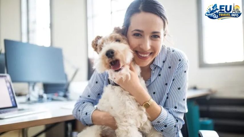 Pet Friendly Travel in Oslo, Norway