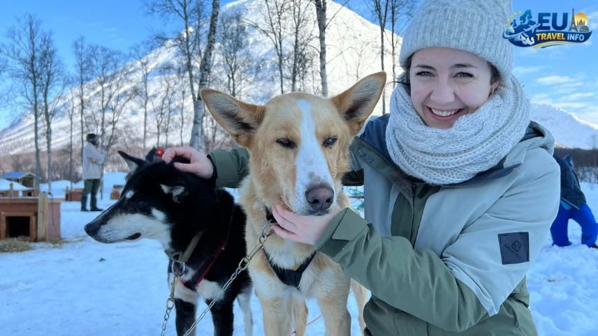 Pet Friendly Travel in Tromsø, Norway