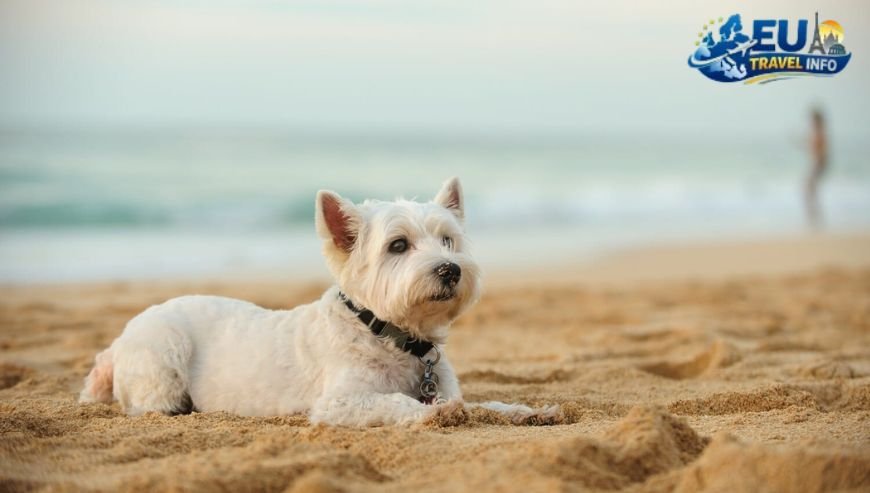 Pet Friendly Vacation Rentals in Bosnia