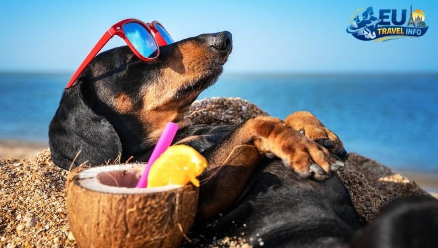 Pet Friendly Vacation in Acquaviva, San Marino