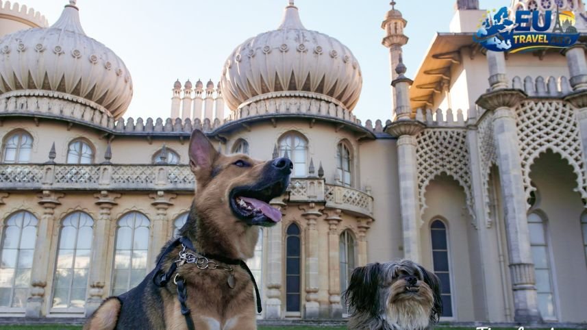 Pet Friendly Vacation in Brighton, UK