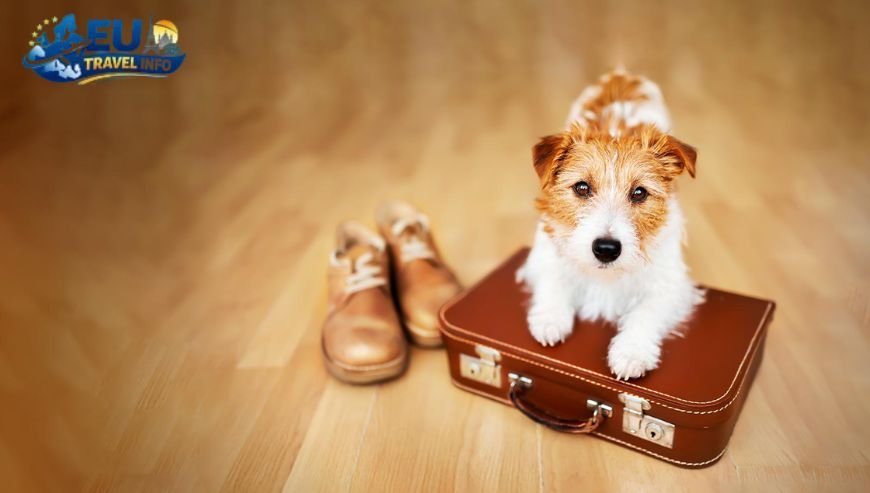 Pet Friendly Vacation in Domagnano, San Marino