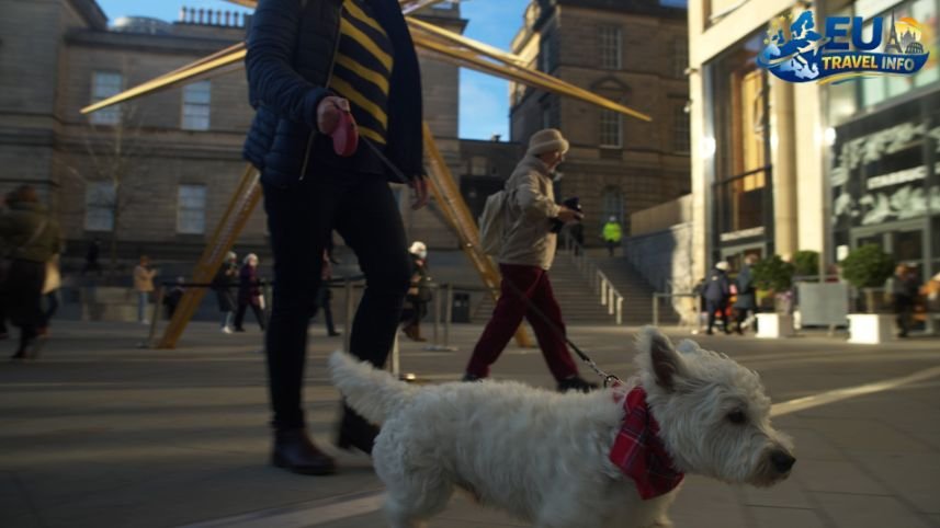 Pet Friendly Vacation in Edinburgh, UK