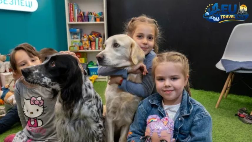 Pet Friendly Vacation in Kharkiv, Ukraine