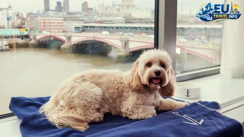 Pet Friendly Vacation in London, UK