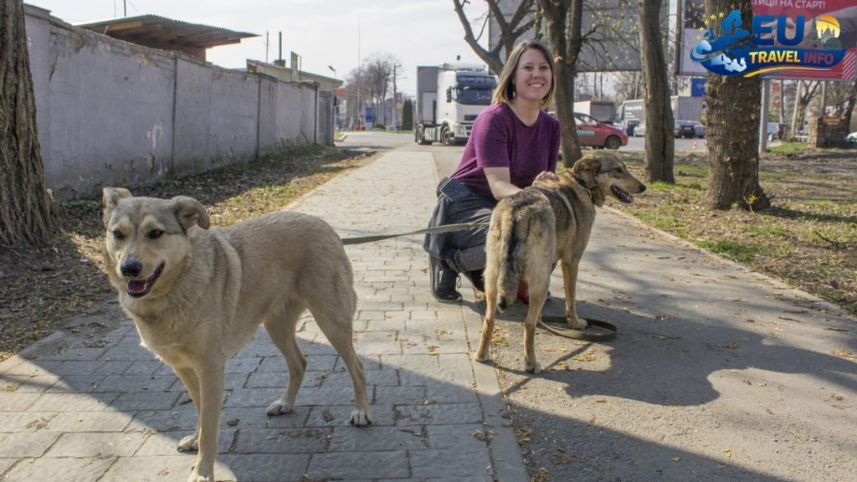 Pet Friendly Vacation in Lviv, Ukraine
