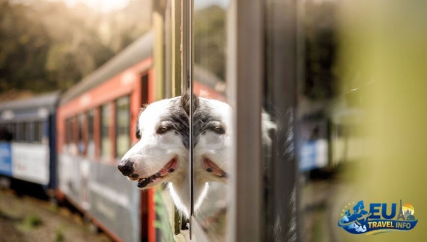 Pet Friendly Vacation in Stockholm, Sweden