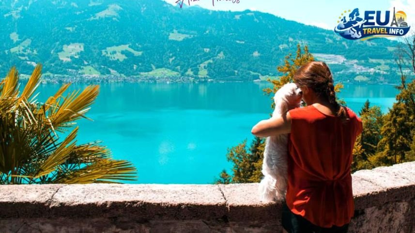 Pet Friendly Vacation in Zurich, Switzerland