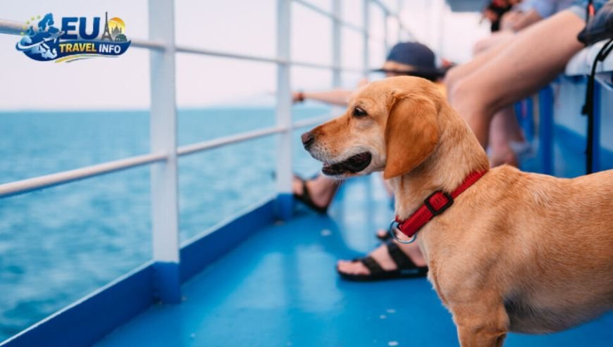 Pet Travel Local Laws and Etiquette in Grenoble