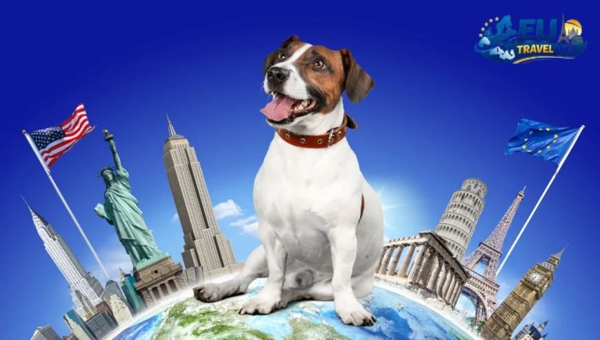 Pet Travel Local Laws and Etiquette in Montpellier