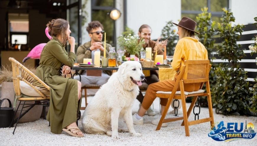 Pet friendly places in Azerbaijan