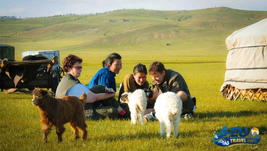 Picking the Best Companies for Your Trip