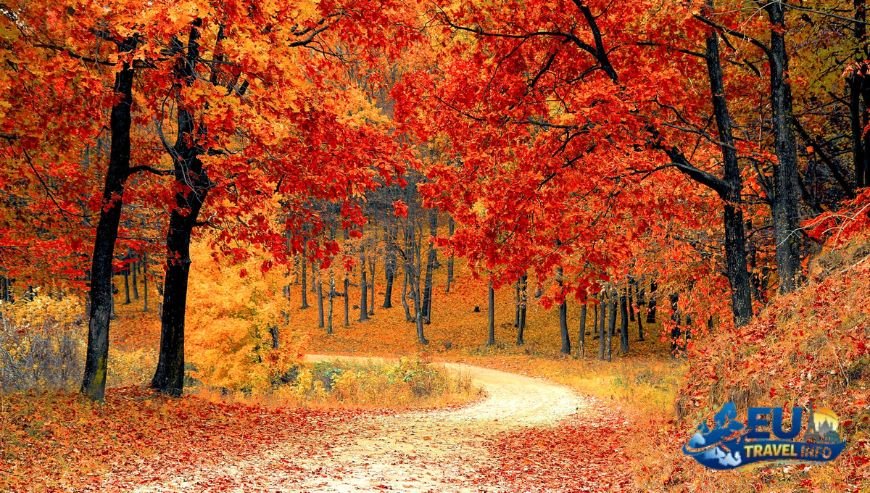 Planning Your Autumn Experience