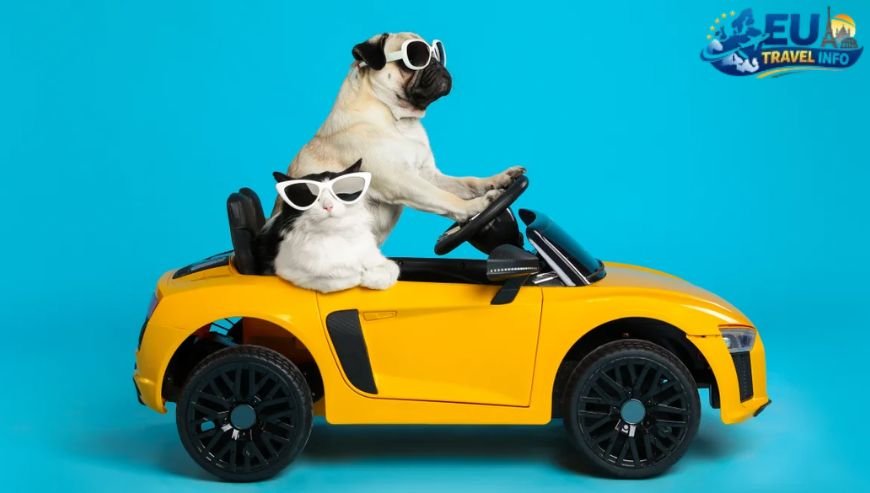 Planning Your Trip How Dog Friendly is the Czech Republic