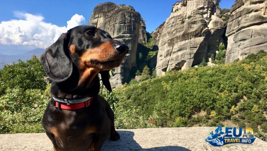 Planning Your Trip To Northern Greece dog