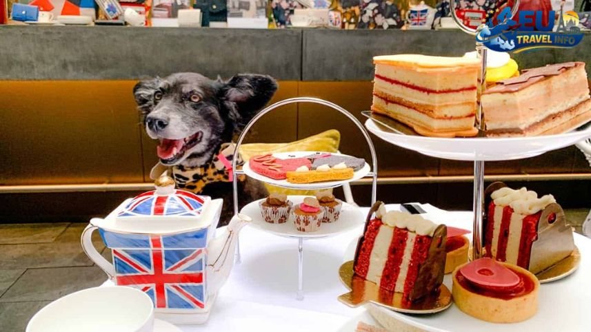 Posh Paws Doggy Afternoon Tea