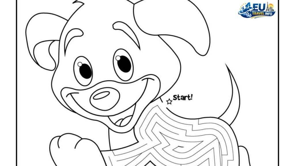 Preparations and the Paperwork Maze