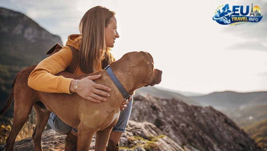 Preparing for Your Adventure dog (1)