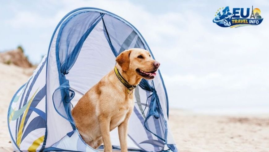 Preparing for Your Dog Friendly Holidays in Nida, Lithuania