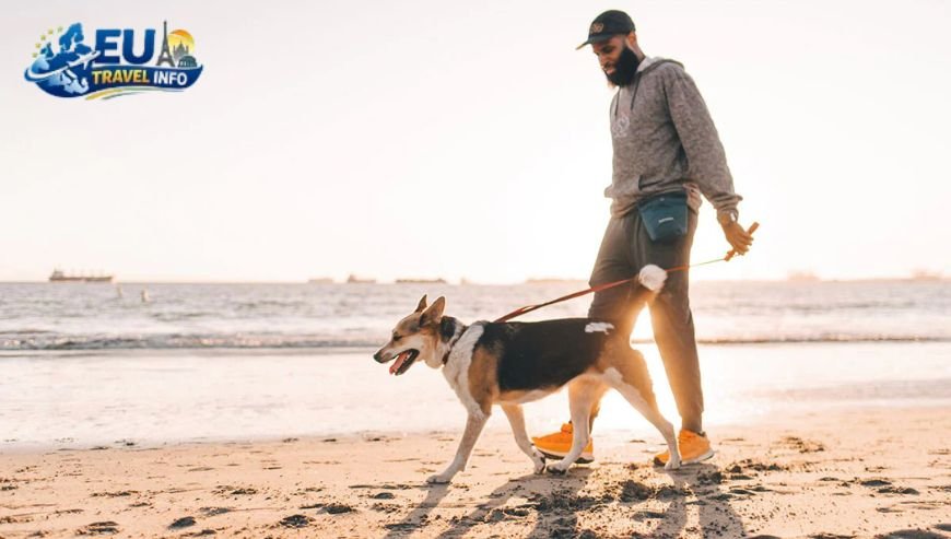 Preparing for the Great Adventure dog