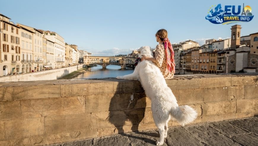 Preparing for the Italian Adventure dog