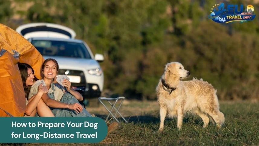 Preparing for the Journey