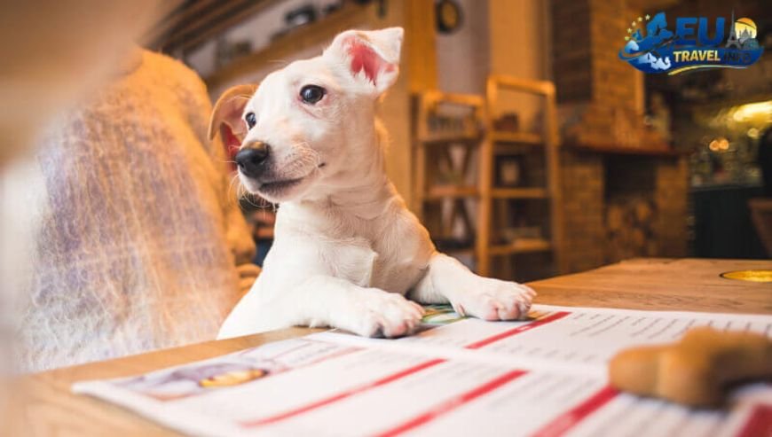 Preparing for the Trip The Paperwork dog