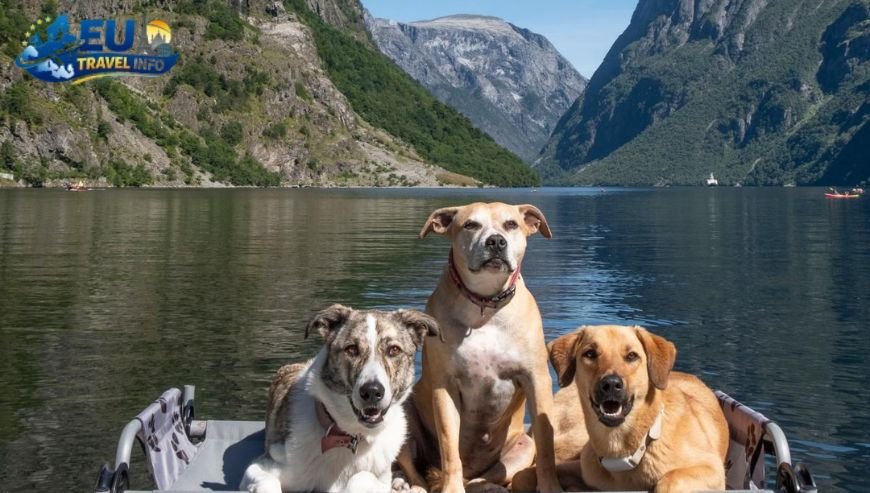 Relaxing by the Great Lakes dog