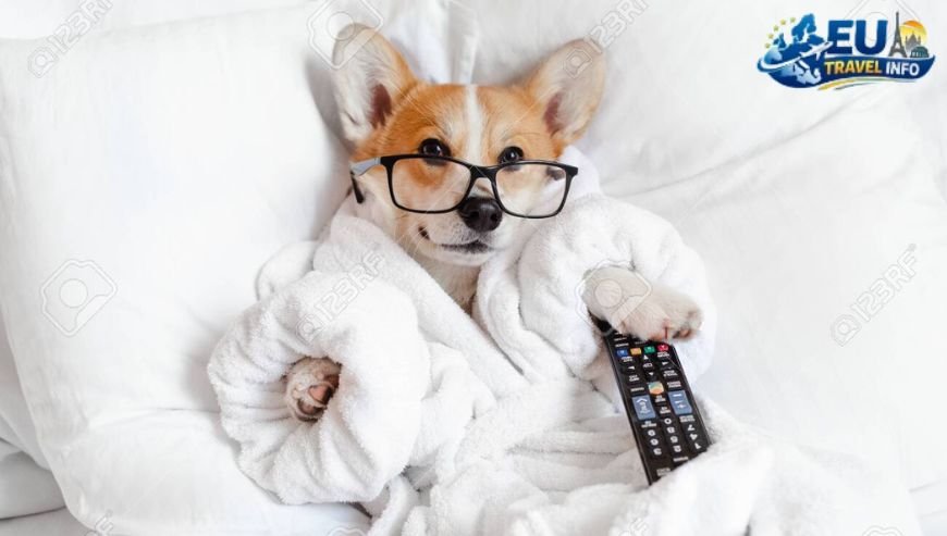 Relaxing on the Best Terraces dog