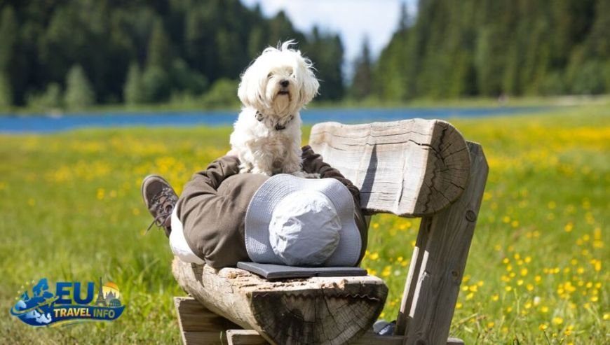 Resort Spotlight Méribel dog