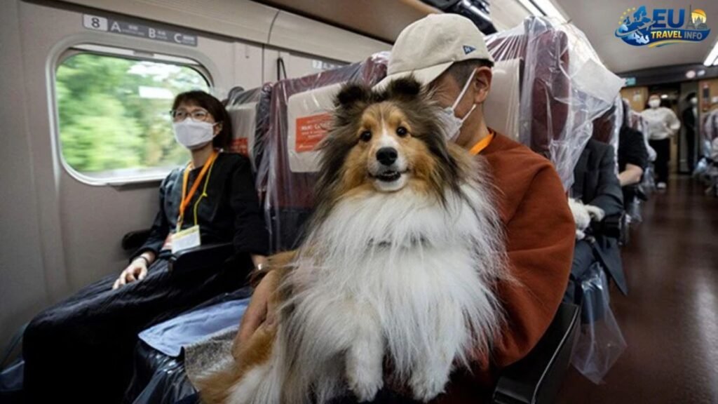 Riding the Rails with Russian Railways dog