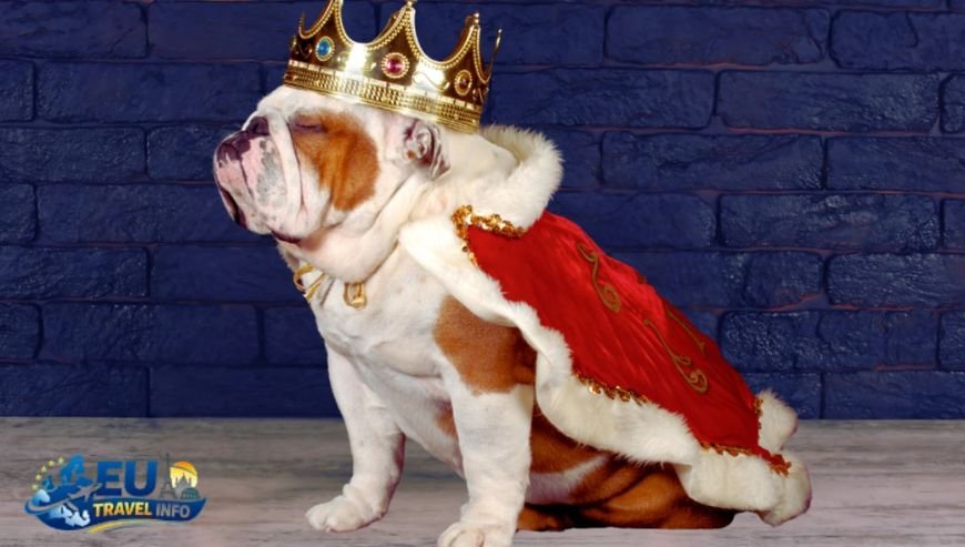 Romania The Reigning Pet Kingdom