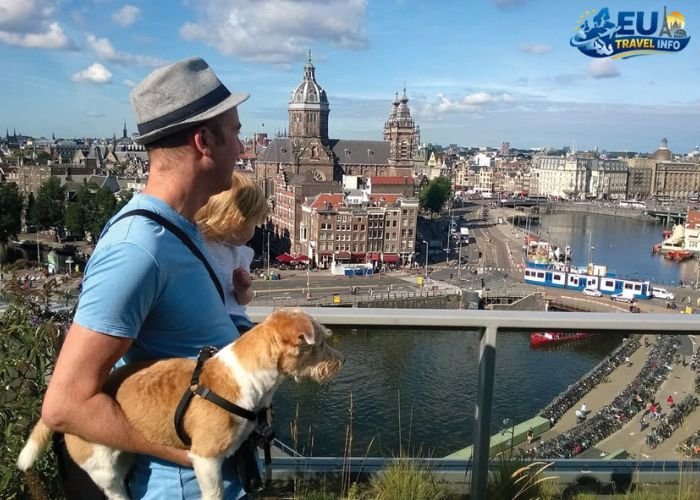 Seasonal Pet-Friendly Spots in Europe