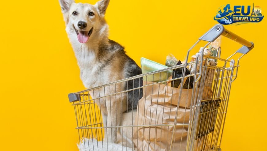 Shopping and Daily Errands dog