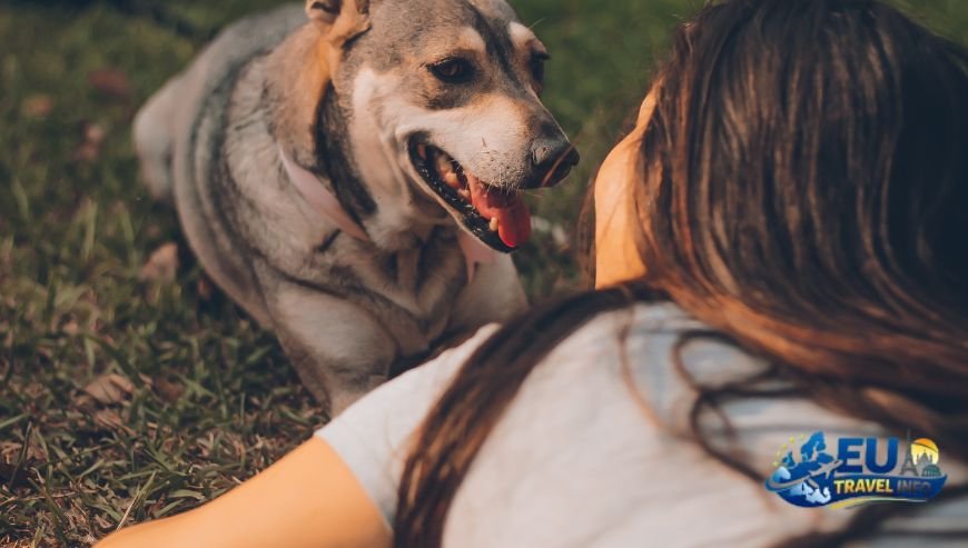 Shopping with Your Furry Companion