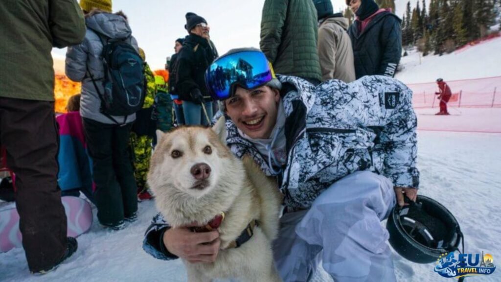 Snow destinations to discover with your dog