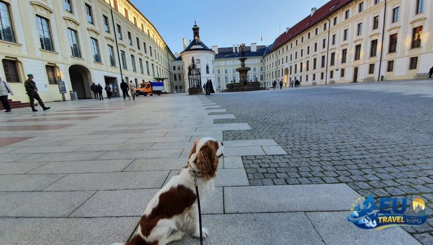 Southern Bohemia The Crown Jewel of Dog Travel