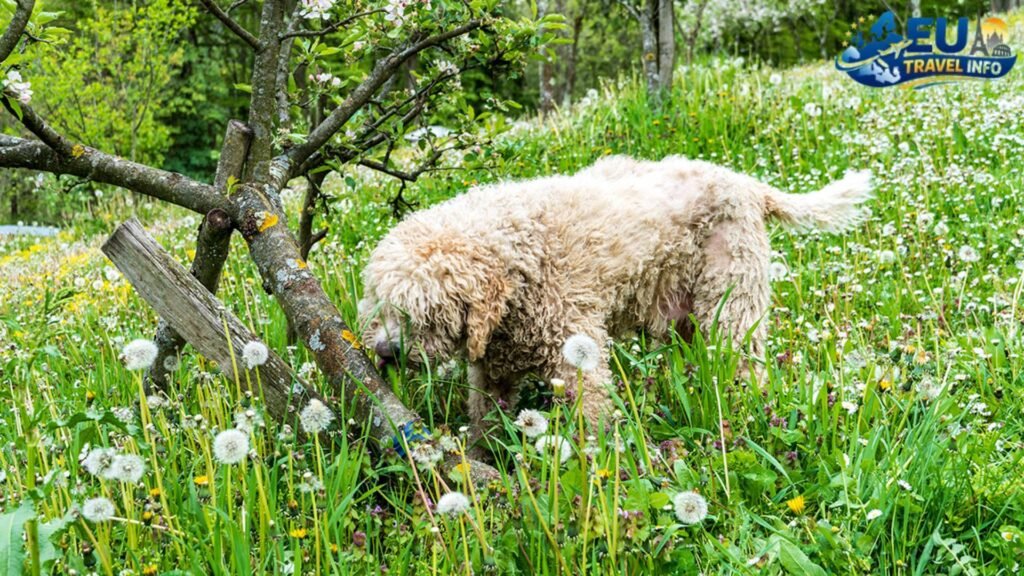 Starting the journey in Banja Luka