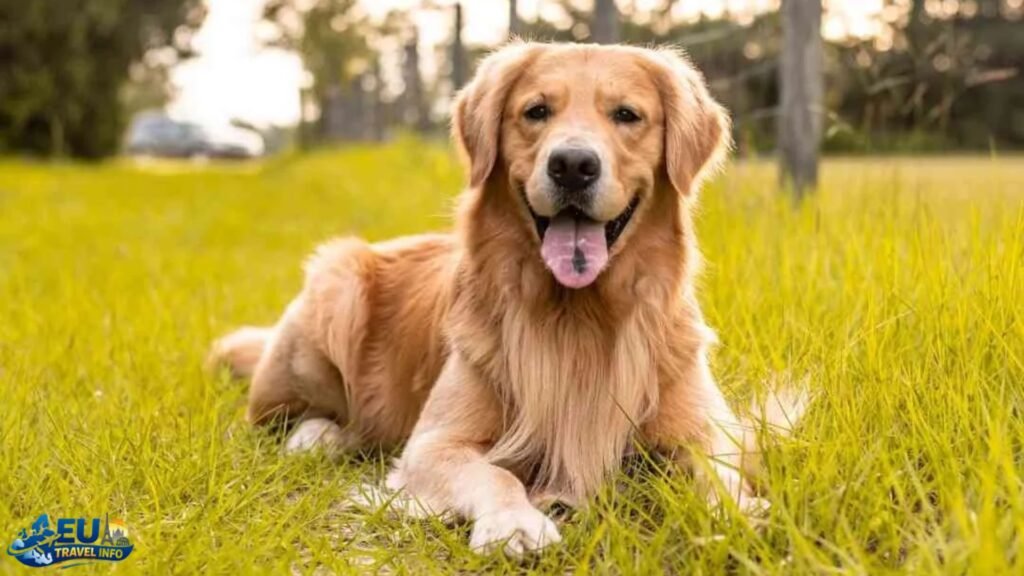 Summary of Best Options