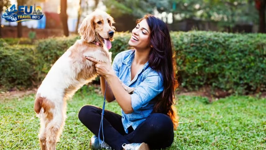 Talk to the People Around You dog