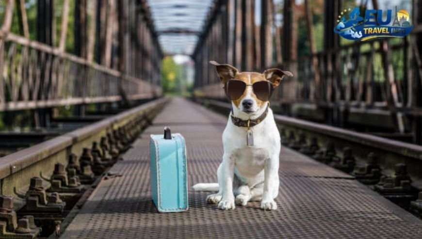 The Arrival Trains and Grand Entrances dog