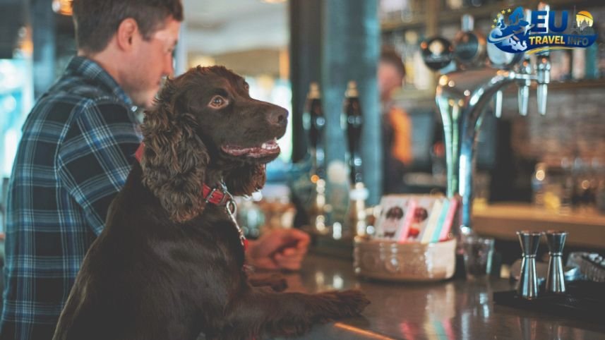The Best Brighton Dog Friendly Restaurants dog
