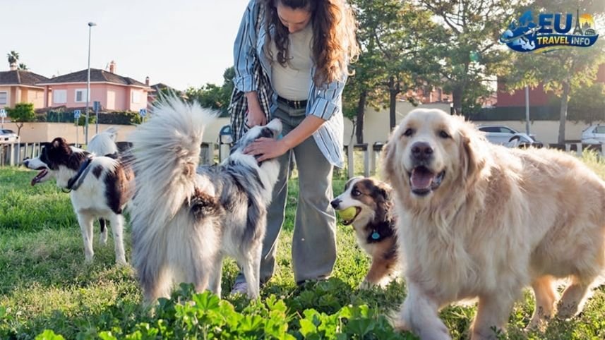 The Best City Parks for Your Pup dog