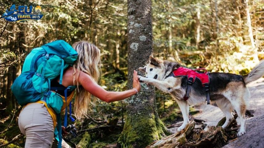 The Best Hiking Trails for You and Your Dog