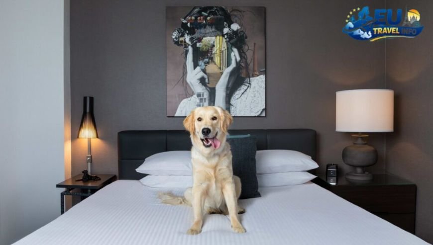 The Best Pet friendly Hotels in Armenia from $56 in 2026